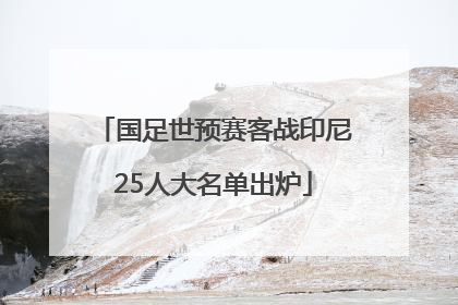 国足世预赛客战印尼25人大名单出炉